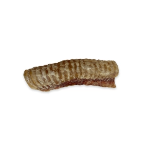 Chasing Our Tails Beef Trachea
