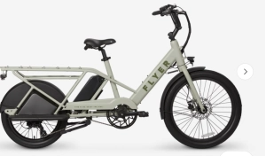 Flyer Via Family Cargo Step Thru Electric Bike