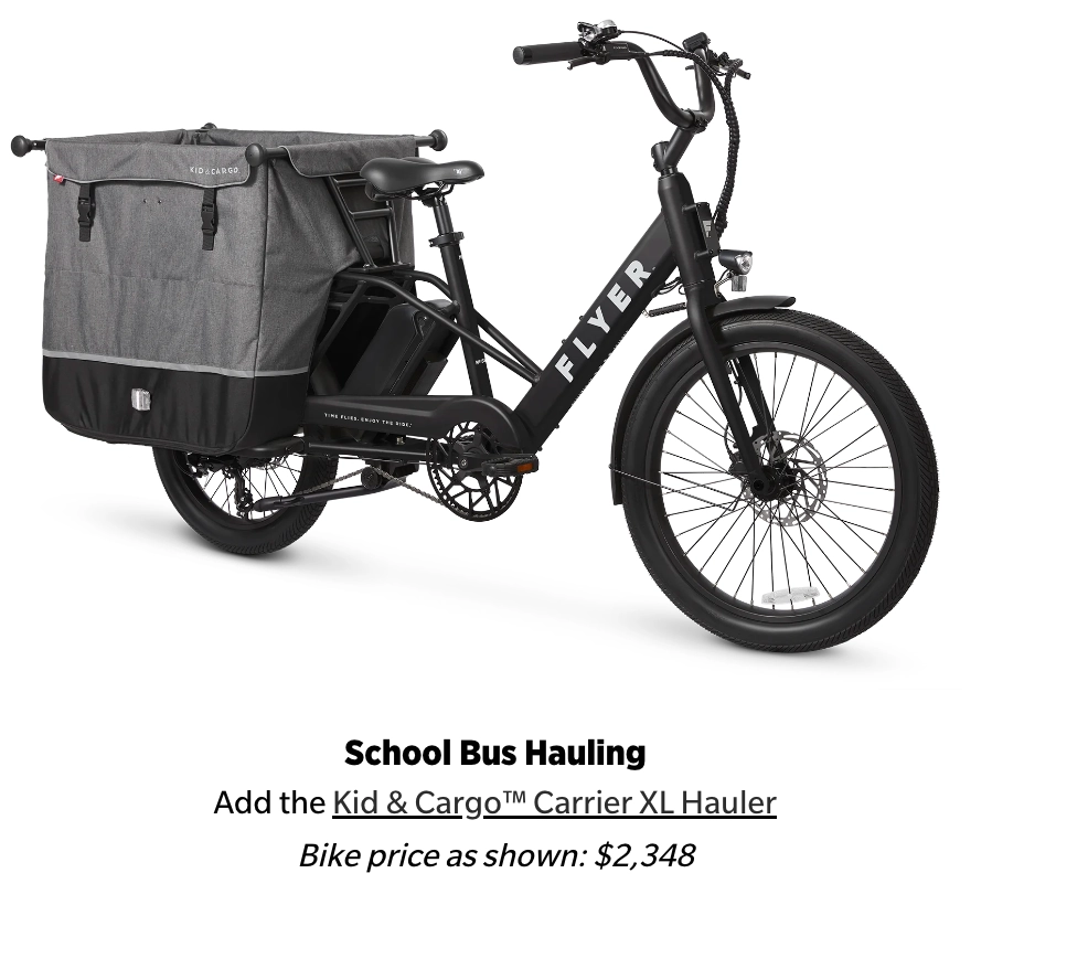 Flyer Via Family Cargo Step Thru Electric Bike