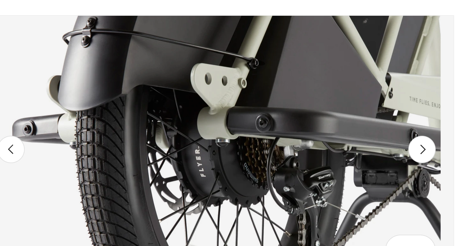 Flyer Via Family Cargo Step Thru Electric Bike