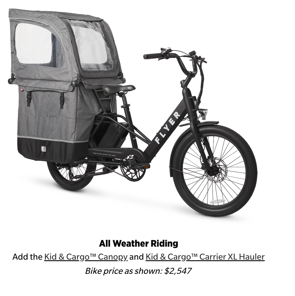 Flyer Via Family Cargo Step Thru Electric Bike