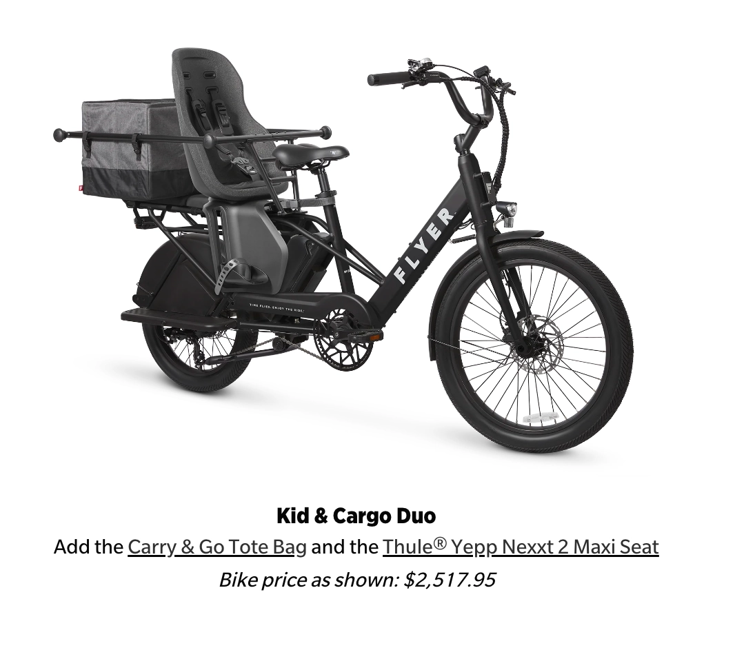Flyer Via Family Cargo Step Thru Electric Bike