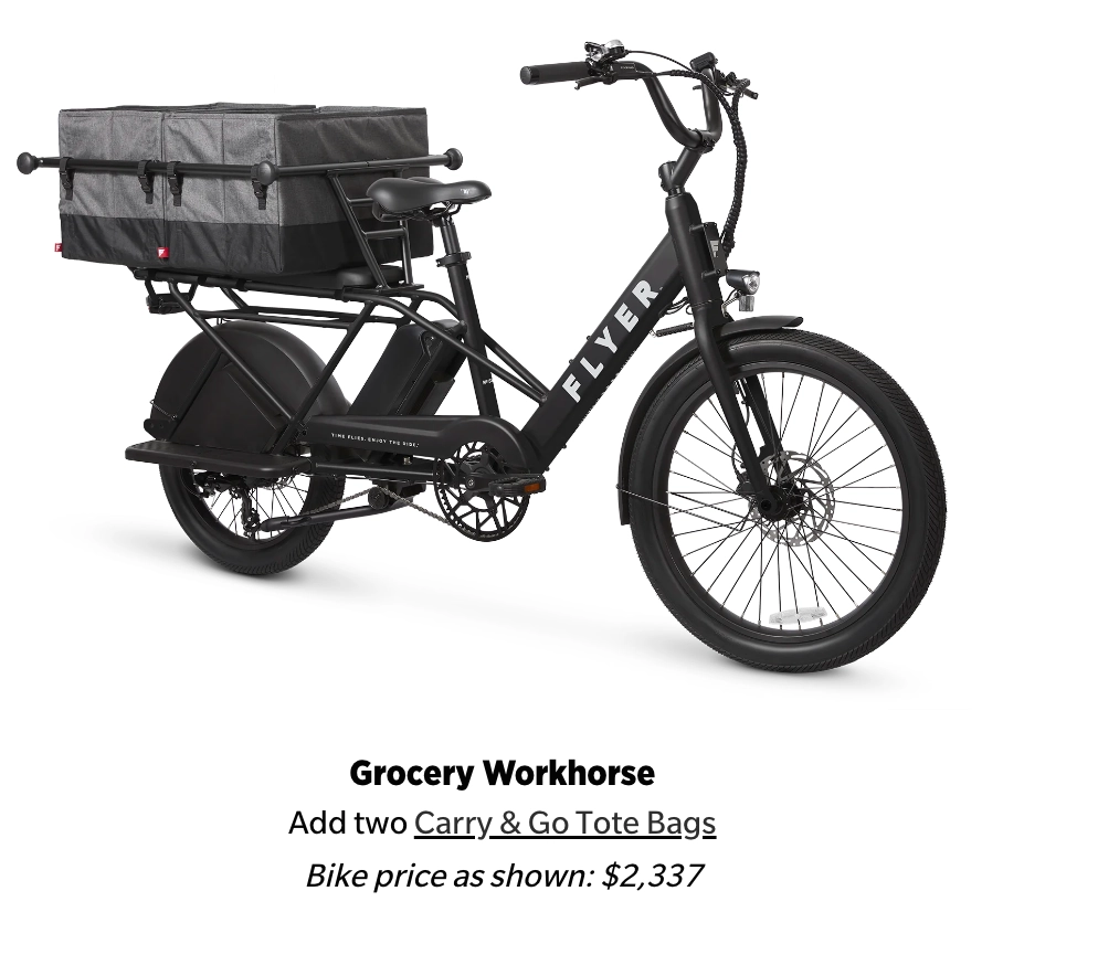 Flyer Via Family Cargo Step Thru Electric Bike