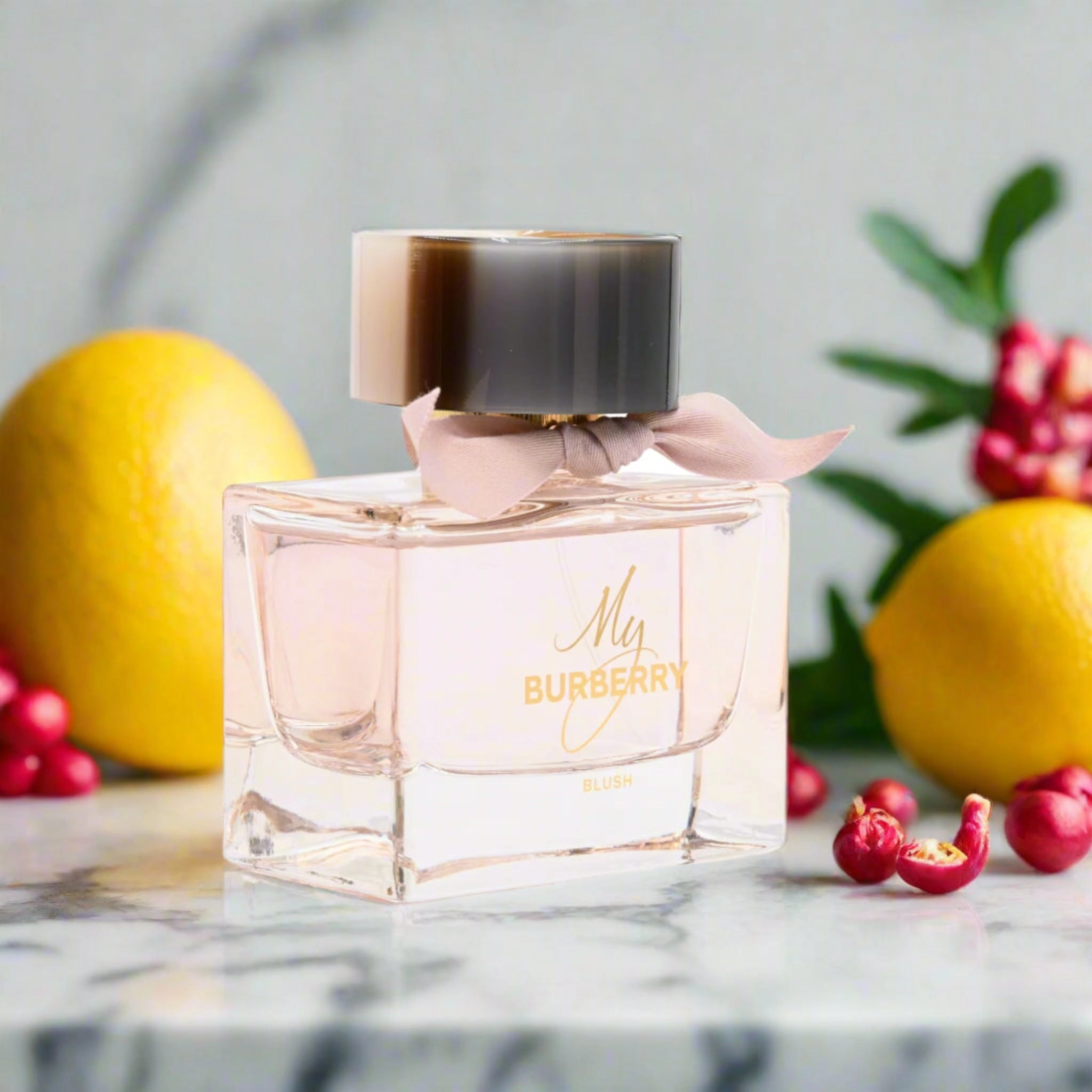 My Burberry Blush by Burberry perfume for women EDP 3.0 oz New in Box