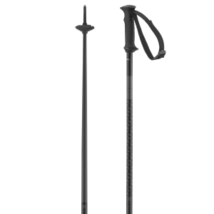 POLAR ACCESS SKI POLES