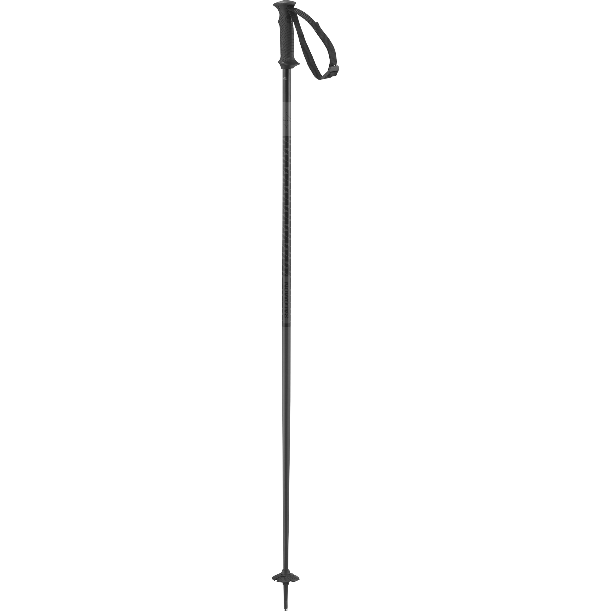 POLAR ACCESS SKI POLES