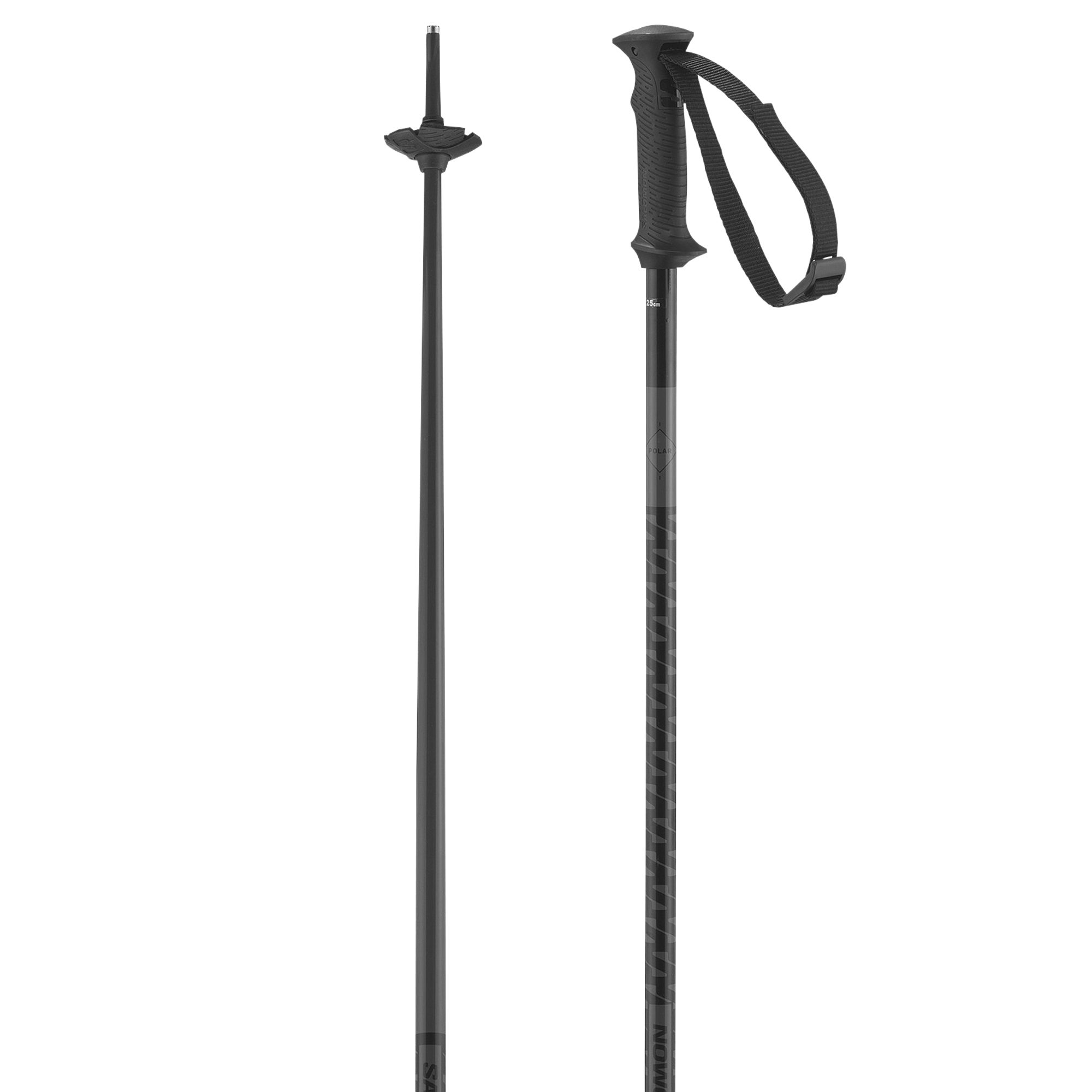 POLAR ACCESS SKI POLES